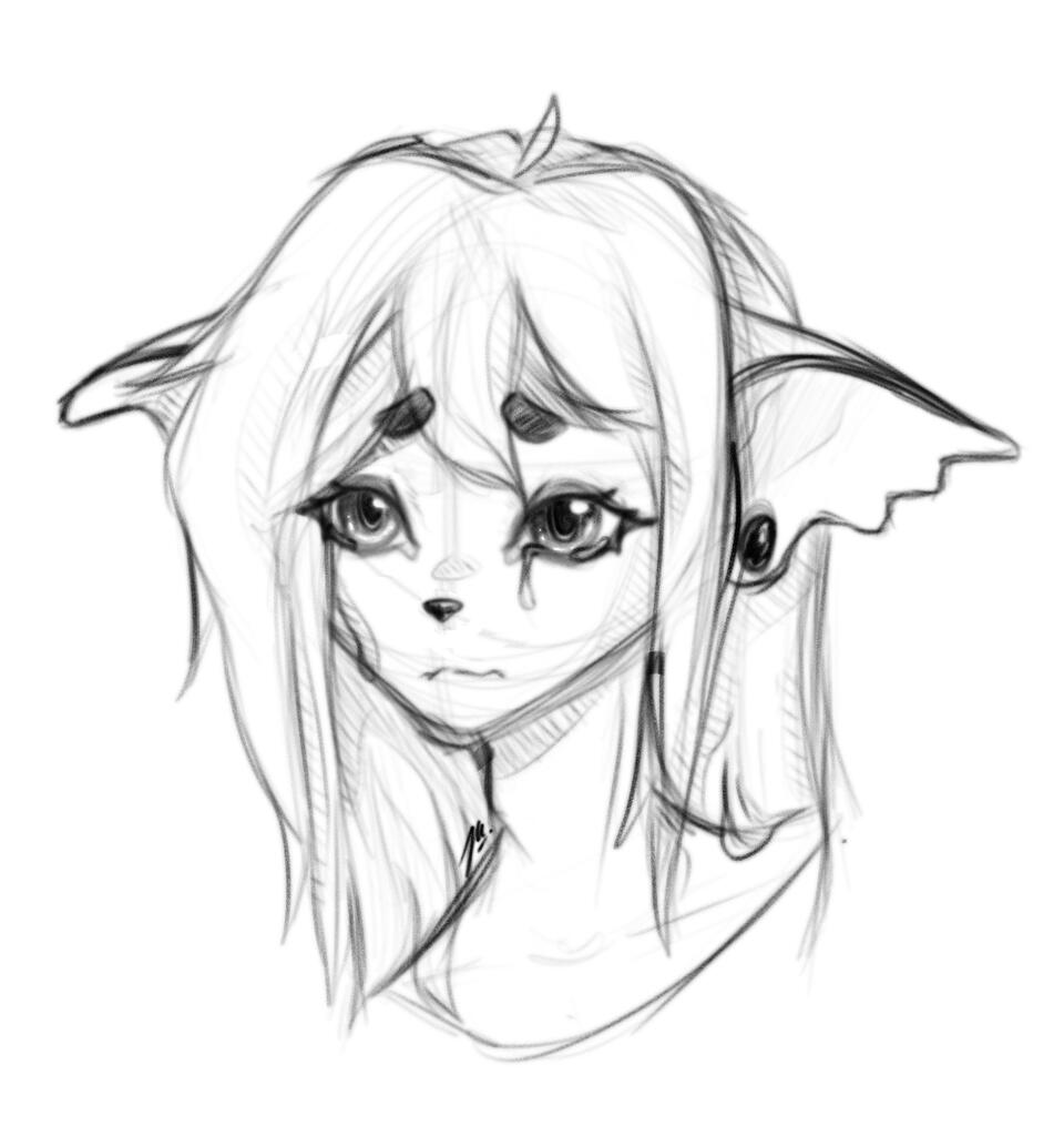 Sketched Headshot